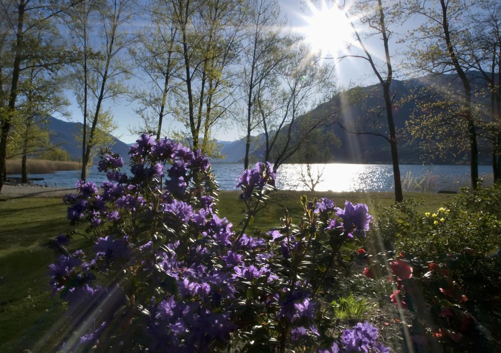 Castello Del Sole Beach Resort&Spa Ascona Extérieur photo